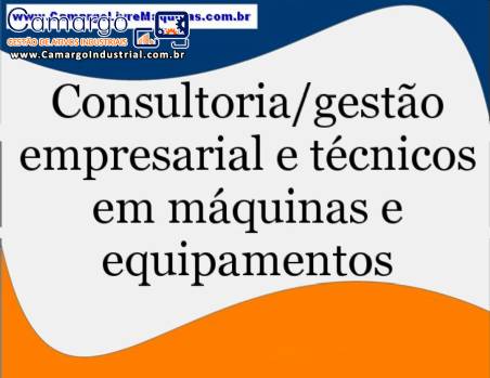 Tcnico consultor gerencial e qumico